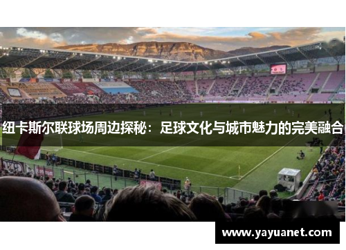 纽卡斯尔联球场周边探秘：足球文化与城市魅力的完美融合